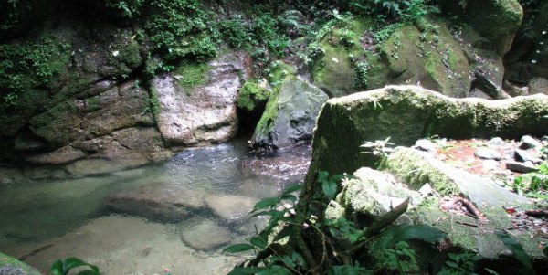 monteverde_costa_rica_river